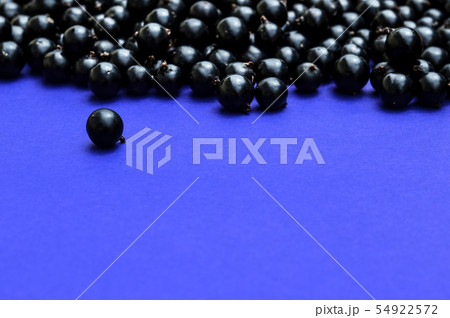 Black currant. Top view. 54922572