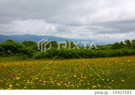 有珠山火口原展望台 54922583