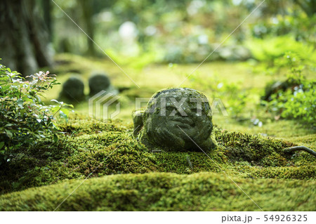 初夏の三千院 初夏の三千院 54926325