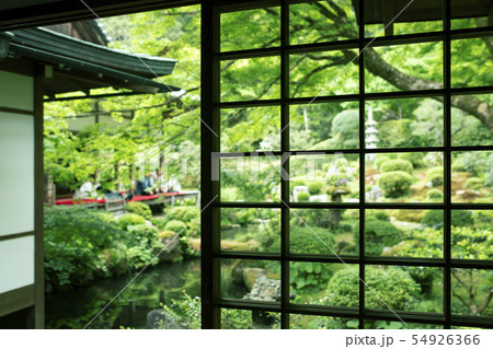 初夏の三千院 54926366
