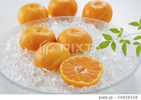 温室みかん　ハウスミカン 54926558