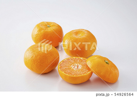 温室みかん　ハウスミカン 54926564