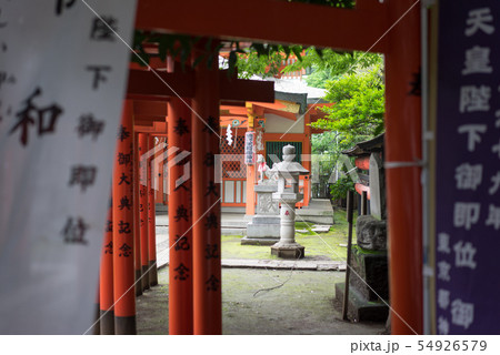赤い鳥居が並ぶ神社 54926579