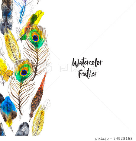 Watercolor frame with colorful feathers on white background Watercolor frame with colorful feathers on white background 54928168