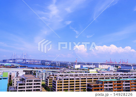 港が見える丘公園から望む景色 港が見える丘公園から望む景色 54928226