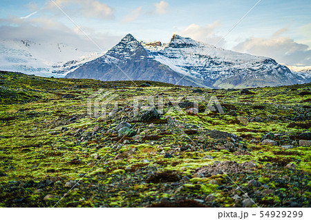 アイスランド・ヴァトナヨークトル氷山と草原 54929299