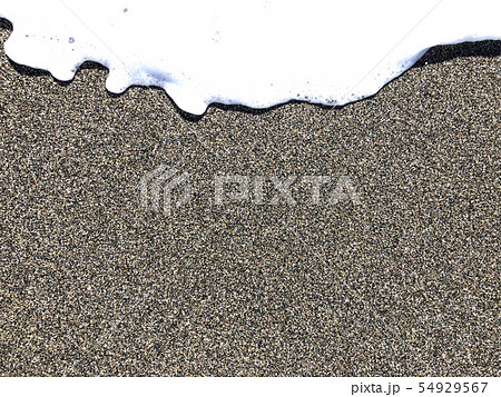 Sea penna and pebbles. 54929567