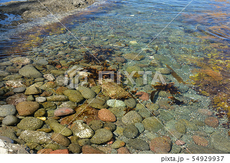 北海道せたな町大成区長磯海岸で青い海と岩礁の夏の風景を撮影 北海道せたな町大成区長磯海岸で青い海と岩礁の夏の風景を撮影 54929937