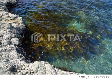 北海道せたな町大成区長磯海岸で青い海と岩礁の夏の風景を撮影 北海道せたな町大成区長磯海岸で青い海と岩礁の夏の風景を撮影 54929945