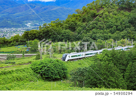 E353系　勝沼ぶどう郷 ブドウ畑 54930294