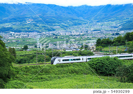 E353系　勝沼ぶどう郷 ブドウ畑 54930299