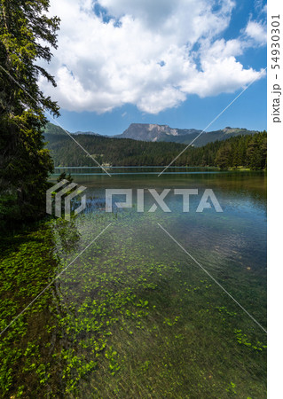 Montenegro, Black Lake in a Durmitor Park Montenegro, Black Lake in a Durmitor Park 54930301