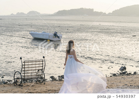 風景 夏 韓国 54930397