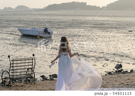 風景 夏 韓国 54931115