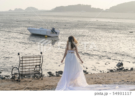 風景 夏 韓国 54931117