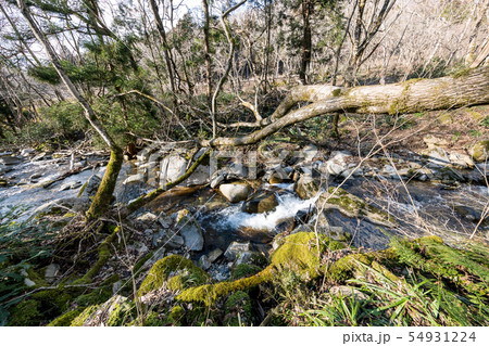 渓流 54931224