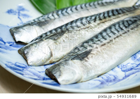 鯖の灰干し 54931689