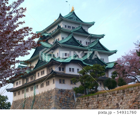 名古屋城 天守閣 桜 青空 名古屋城 天守閣 桜 青空 54931760