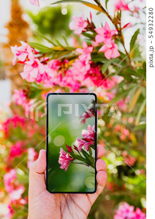 Using smartphone to make a photo in macro mode 54932280