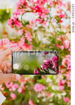 Using smartphone to make a photo in macro mode 54932287