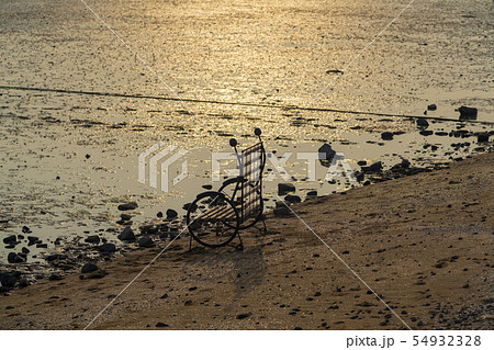 風景 夏 韓国 54932328