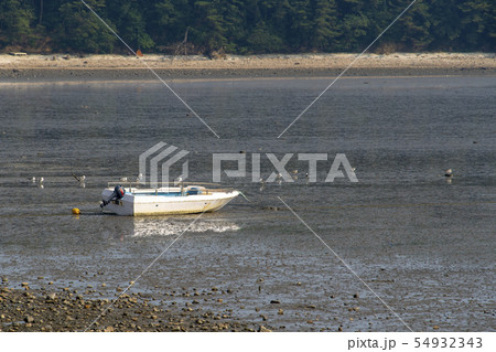 風景 夏 韓国 54932343
