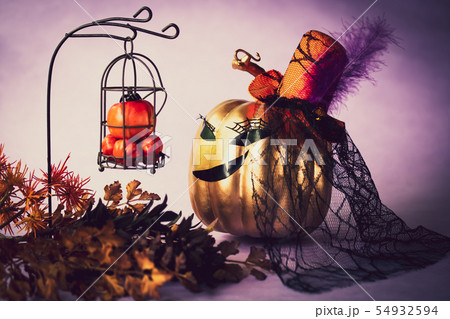 オシャレかぼちゃ 54932594