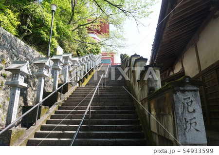 【四国八十八ヶ所】第二十三番 薬王寺 瑜祇塔への厄坂の石段と新緑 徳島県海部郡美波町 【四国八十八ヶ所】第二十三番 薬王寺 瑜祇塔への厄坂の石段と新緑 徳島県海部郡美波町 54933599