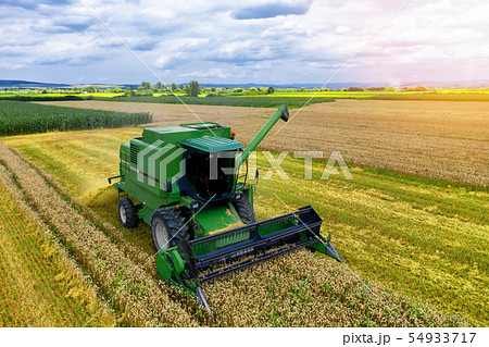 Aerial view on the combine working on the large Aerial view on the combine working on the large 54933717