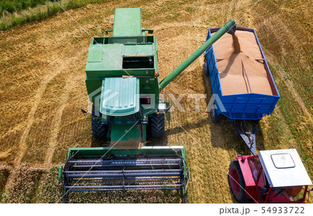 Collecting wheat from combine to tractor trailer, 54933722