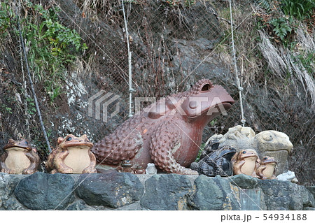 海王大和国の蛙 54934188