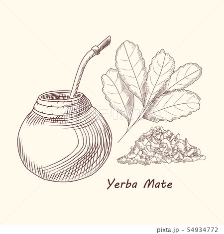 Yerba mate drink. Traditional South American 54934772