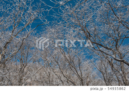 小白山 冬の山 登山 54935862