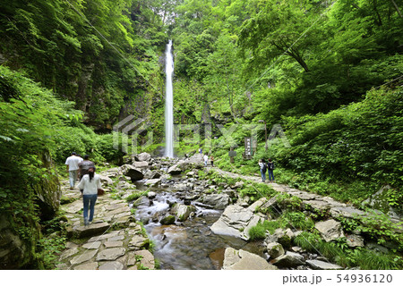 阿弥陀ケ滝(岐阜県郡上市) 阿弥陀ケ滝(岐阜県郡上市) 54936120