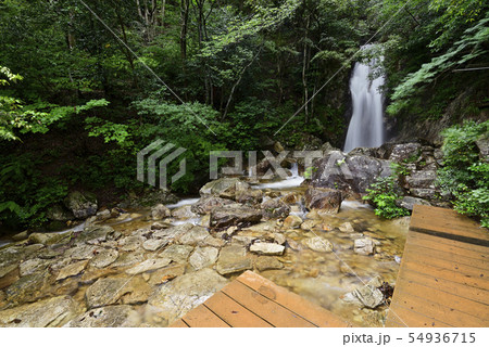 楊梅の滝（滋賀県大津市） 54936715