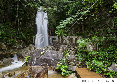 楊梅の滝（滋賀県大津市） 54936716