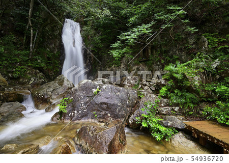 楊梅の滝(滋賀県大津市) 楊梅の滝(滋賀県大津市) 54936720