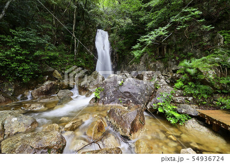 楊梅の滝（滋賀県大津市） 54936724