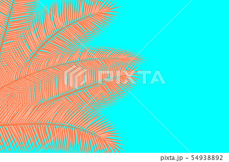 Palm leaves. Summer background Palm leaves. Summer background 54938892