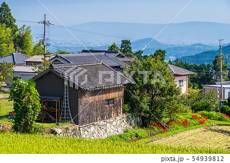秋の田園風景 秋の田園風景 54939812