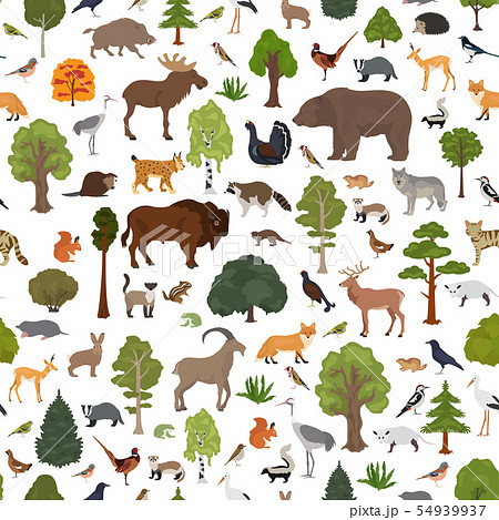 Temperate broadleaf forest and mixed forest biome. 54939937