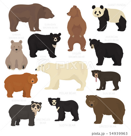 All world bear species in one set. Bears 54939963