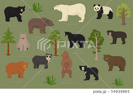 All world bear species in one set. Bears All world bear species in one set. Bears 54939965
