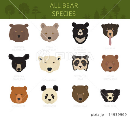 All world bear species in one set. Bears All world bear species in one set. Bears 54939969
