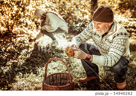 Elderly couple picking mushrooms in the forest. 54940262