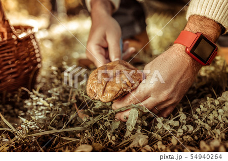 Hands of a man cutting a big mushroom. 54940264