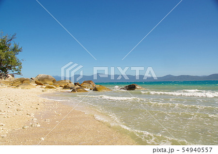 海　フィッツロイ島 54940557