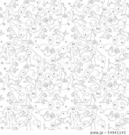 Yoga dogs poses and exercises. Beagle seamless 54941143