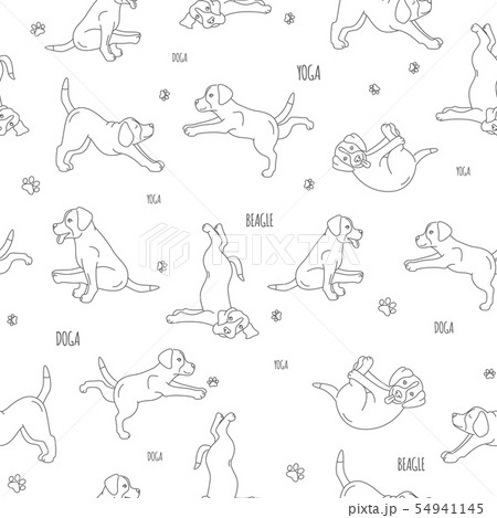 Yoga dogs poses and exercises. Beagle seamless 54941145