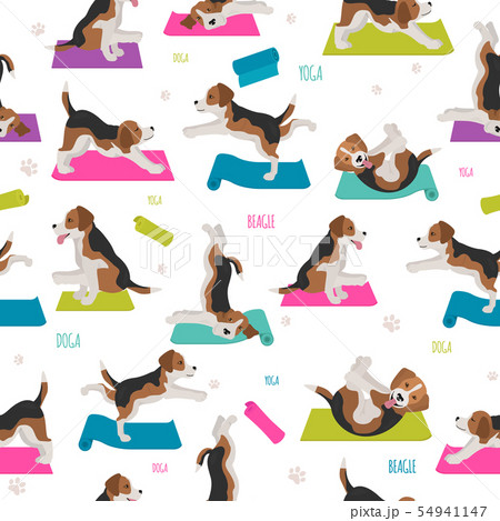Yoga dogs poses and exercises. Beagle seamless Yoga dogs poses and exercises. Beagle seamless 54941147